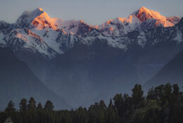 New Zealand 2025 (2 group) (2/84)